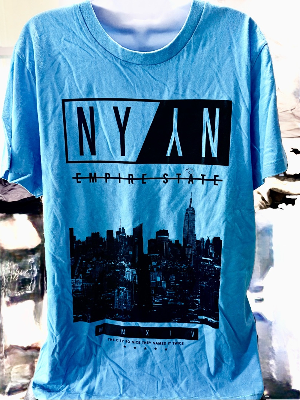 Aeropostale Light Blue NYAN Empire State Graphic Tee